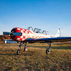 Экстремальный полет на самолете ЯК-52 "Дмитрий Загорский" (а. Большое Грызлово)